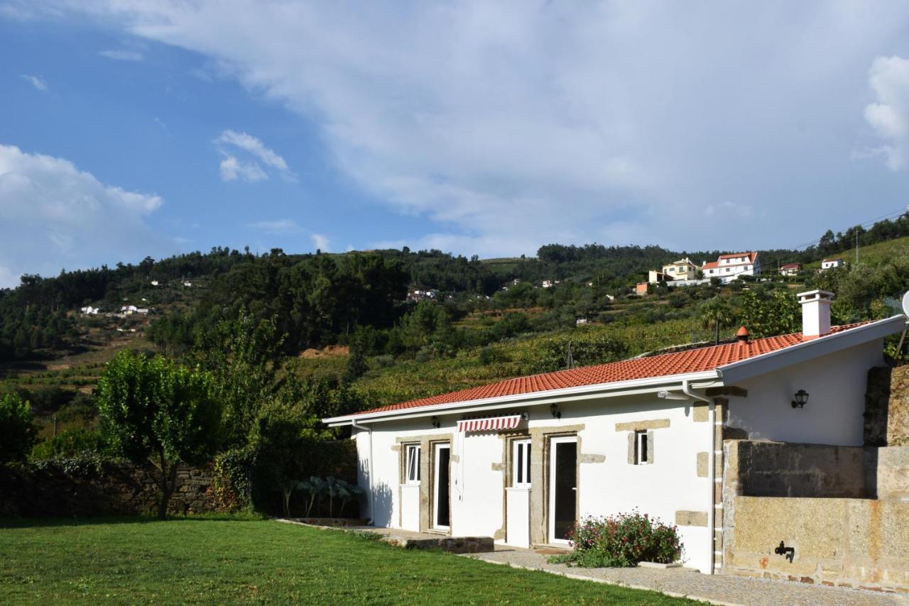 Casa De Carrapatelo Hotel Mesão Frio Eksteriør billede